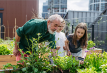 NHNN kêu gọi ưu tiên tín dụng cho sản xuất và xuất khẩu lúa gạo ĐBSCL