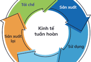 MỨC ĐỘ ÁP DỤNG KINH DOANH TUẦN HOÀN TẠI CÁC DOANH NGHIỆP Ở VIỆT NAM VẪN THẤP 